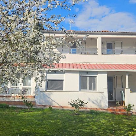 Apartments Betty Borik Rovinj Zewnętrze zdjęcie