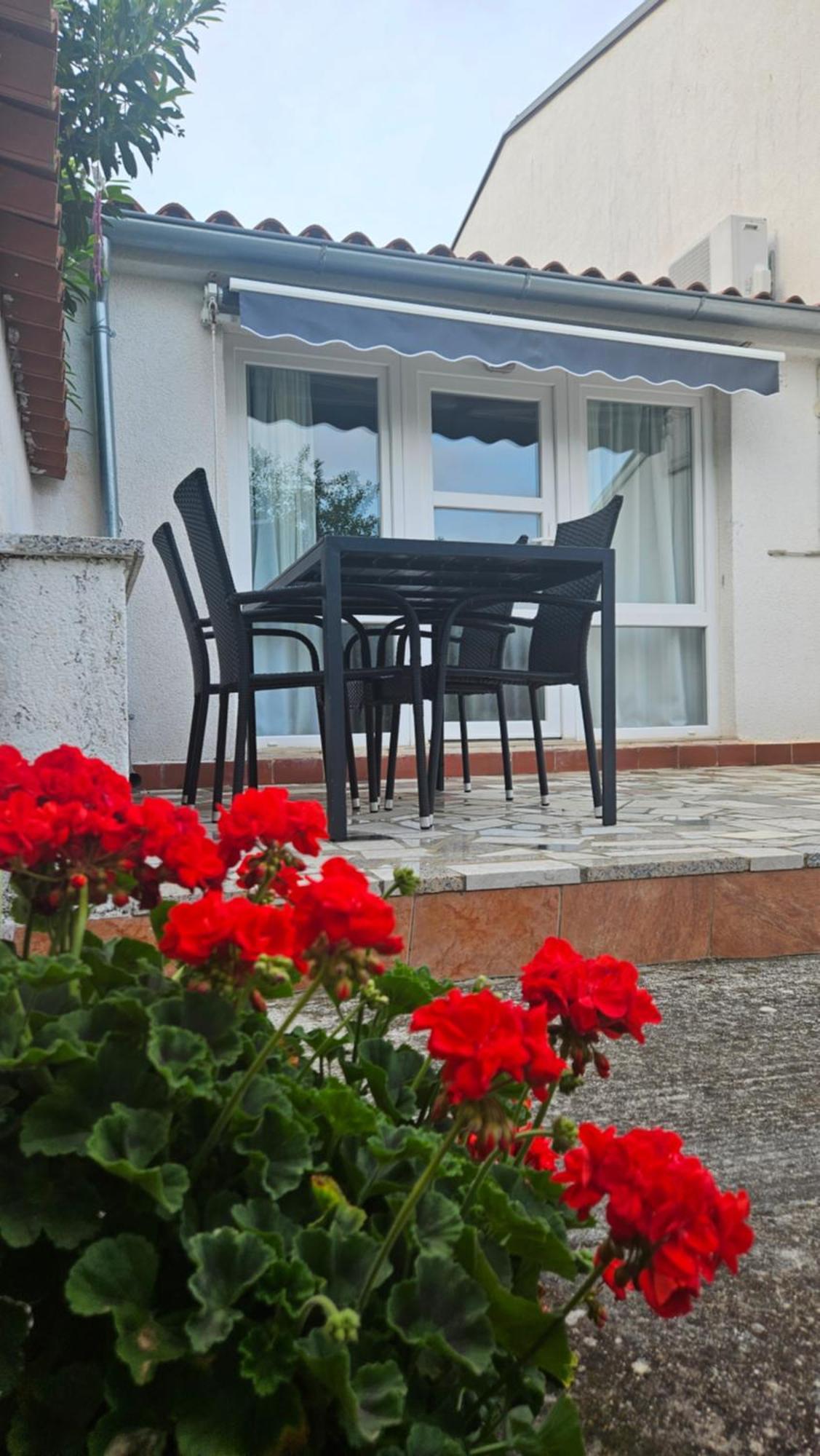 Apartments Betty Borik Rovinj Zewnętrze zdjęcie