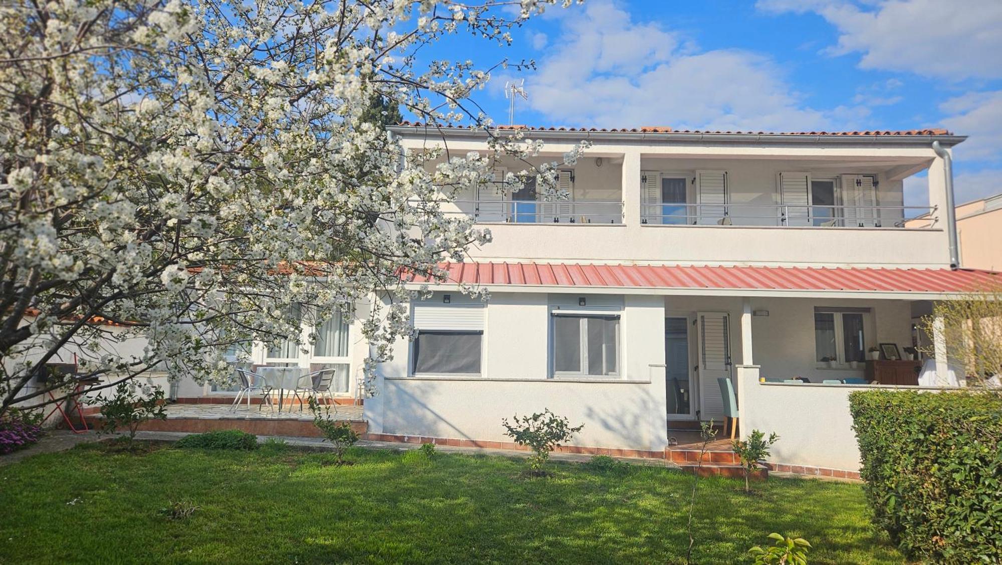 Apartments Betty Borik Rovinj Zewnętrze zdjęcie